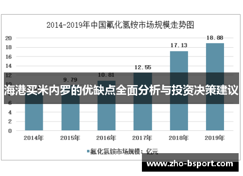 海港买米内罗的优缺点全面分析与投资决策建议