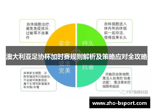 澳大利亚足协杯加时赛规则解析及策略应对全攻略